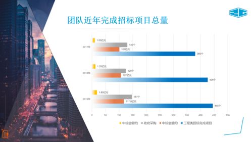 中冠咨詢 全面招標代理、政府采購與信息技術咨詢服務介紹