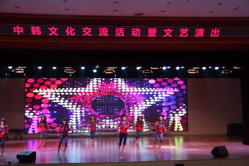 童心相連 藝韻相融——中韓文化交流活動暨文藝演出在市實驗小學成功舉辦