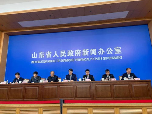 就業市場與文化繁榮雙驅動 山東城鎮新增就業創新高，文化藝術交流活動策劃迎來新機遇